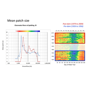 How to Utilize Grapher for Surfer U...